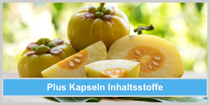 plus-kapseln-inhaltsstoffe