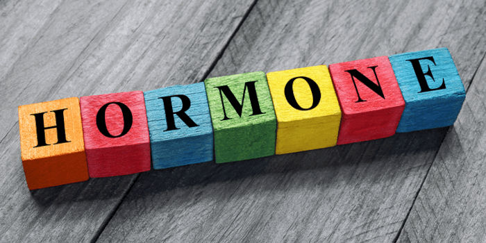 Rundum Hormonstark